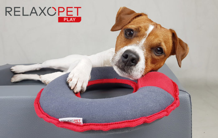 RelaxoPet PLAY MULTI-TOY - immagine 2