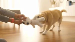MultiBuddy